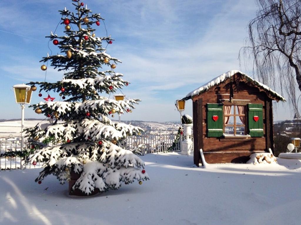 Hotel Wittelsbacher Hoeh Вюрцбург Экстерьер фото